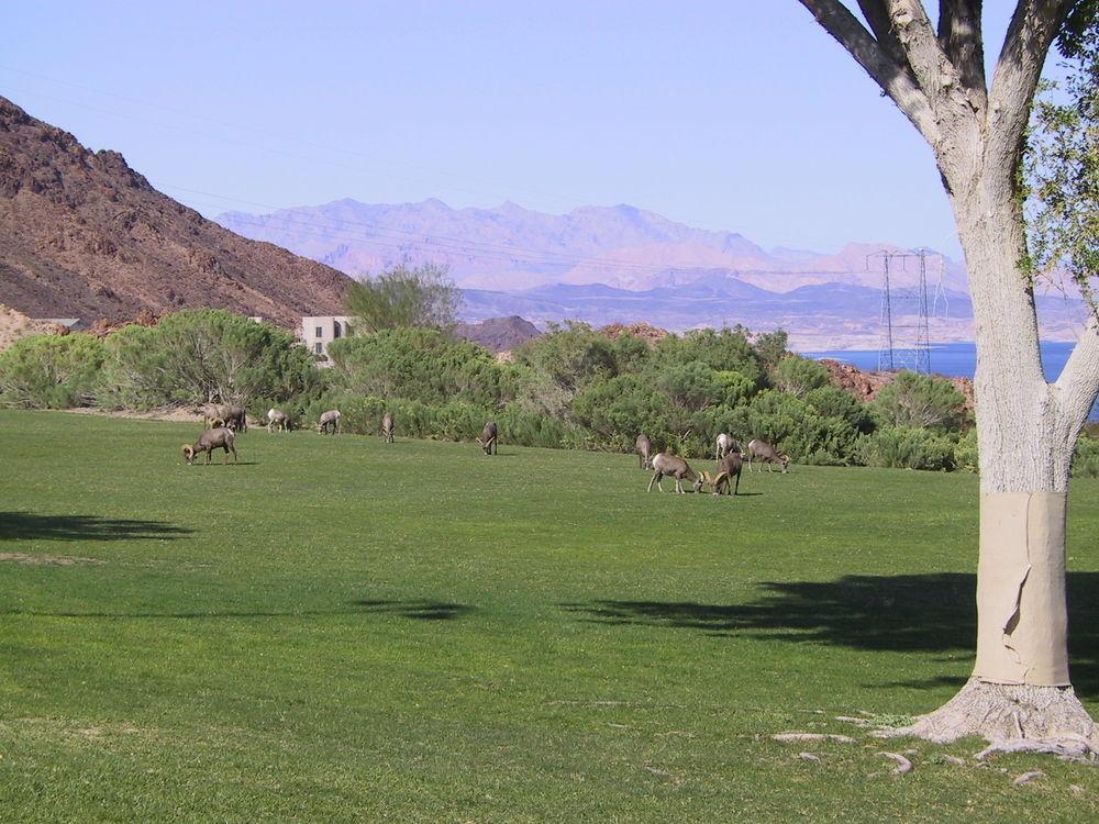 Railroad Pass Hotel And Casino Ramada By Wyndham Boulder City Esterno foto